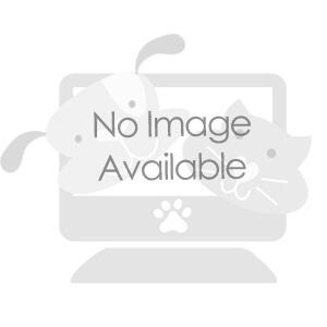 No Image Available